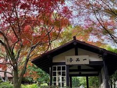 -中国茶叶博物馆(双峰馆区)