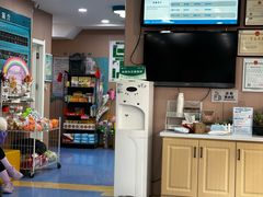 -天使宠物医院·犬猫分诊(彩虹店)