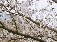-静安雕塑公园