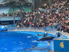 -海合安成都极地海洋公园