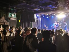 -坚果NUTS