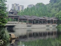 -重庆彩云湖湿地公园