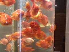 -红鱼湾餐厅(国际大厦店)
