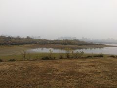 -盘龙城国家考古遗址公园