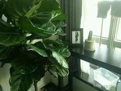 -山人摄影·摄像跟拍·视频拍摄·企业外拍