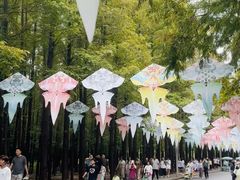 -日照海滨国家森林公园