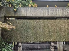 -苏州本色美术馆
