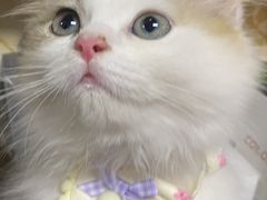 -美联众合24小时·皮肤科·外科·全科诊疗中心(华苑分院)