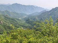 -大岭沟猕猴桃谷风景区