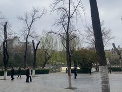 -莲湖公园