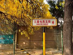 -三里屯东五街银杏大道