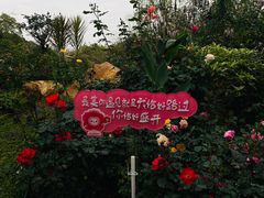 -人民公园(罗湖区)