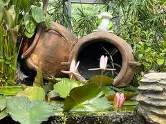 -国家植物园南园