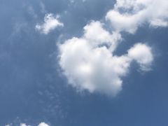 -重庆海昌加勒比海水世界