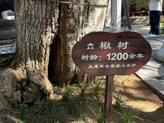 -南阳卧龙岗武侯祠