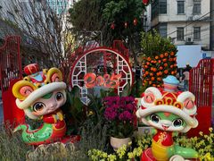 -越秀西湖花市(广州城市广场花卉店)