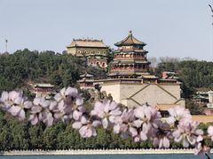 -颐和园