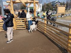 -蟠龙天地-P2停车场