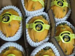 -东方鼎信农副产品交易中心