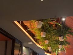 -滇野云南野生菌餐厅(陕西南路店)