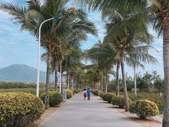 -亚龙湾国际玫瑰谷