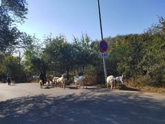 -鬼笑石后山停车场