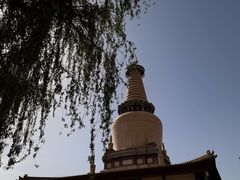 -张掖大佛寺景区