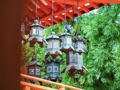 -奈良公园