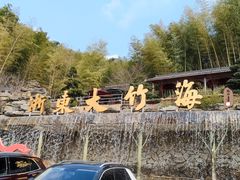 -宁波浙东大竹海景区