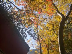 -北京上方山国家森林公园