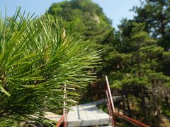 天宫景区-丹东天桥沟景区