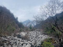 -陕西省红河谷森林公园