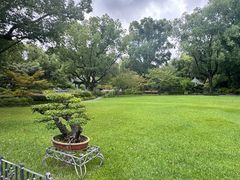 -申粤轩酒楼·三十年粤菜经典(丁香花园店)