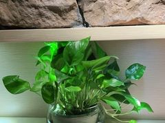 -麦子MaiMassage(打浦桥店)