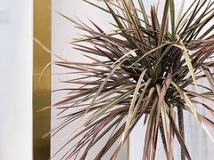 -Fridi Patisserie Cafe