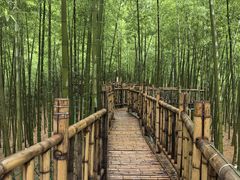 -陶祖圣境风景区