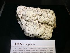 -中国第四纪冰川遗迹陈列馆