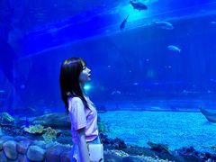 -华夏文旅西安度假区