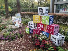 -上海共青森林公园