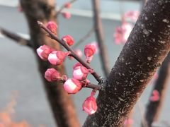 -七桥瓮公园