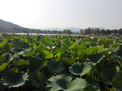 -北京宽沟会议中心