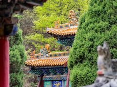-藏山旅游风景区