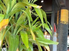 -盐帮食坊•小河帮川菜(四川师大店)