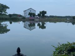 -水岸居湖景农家乐·阳澄湖大闸蟹