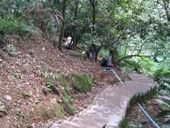 -火炉山森林公园