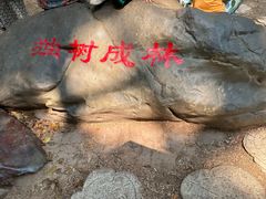 -中国科学院西双版纳热带植物园