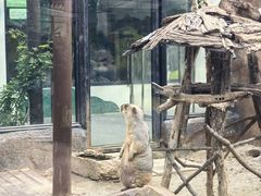 -大连森林动物园