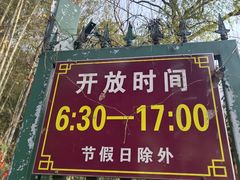 -灵岩山风景区