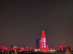 -武汉两江游览·夜游长江(汉口粤汉码头)