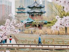 -迎泽公园
